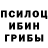 Псилоцибиновые грибы мицелий Denisov Evgeny