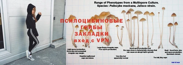 тгк Володарск