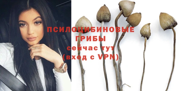 тгк Володарск