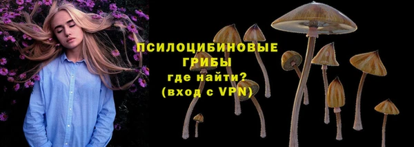 тгк Володарск