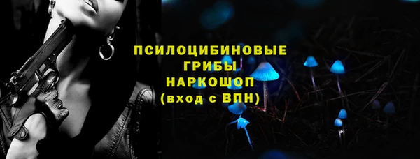 тгк Володарск