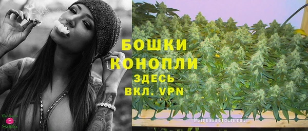 тгк Володарск