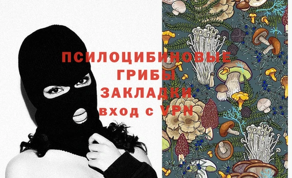 apvp Михайловск