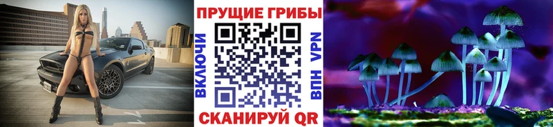 наркотики  Железногорск  Галлюциногенные грибы Magic Shrooms 
