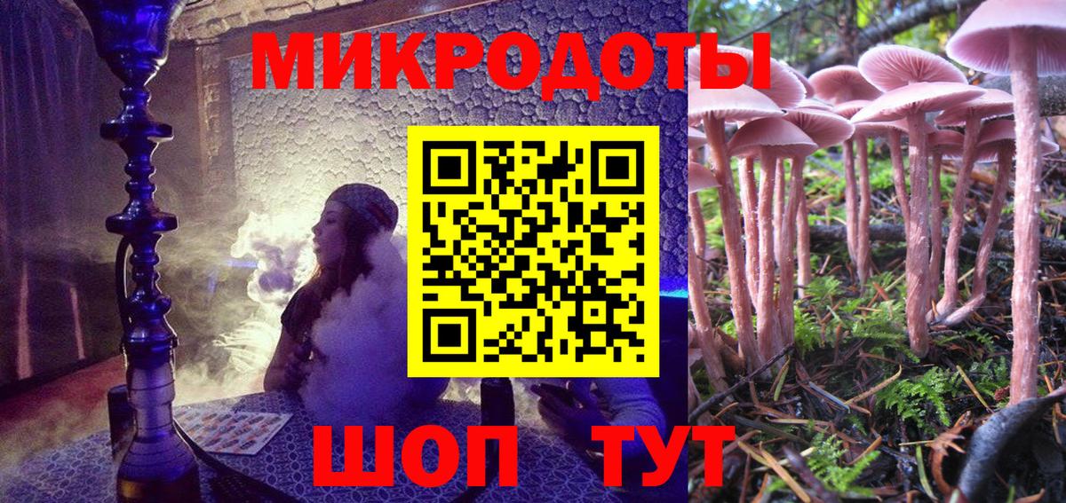 Галлюциногенные грибы Cubensis Железногорск