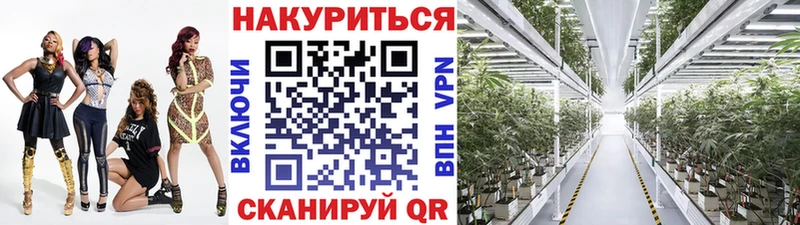 Марихуана White Widow  наркота  Железногорск 